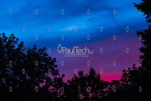 Tree Silhouette Against a Blue, Purple & Magenta Sunset