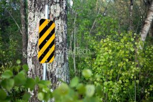 Caution Warning Sign in Woods Next to A Maple Tree.